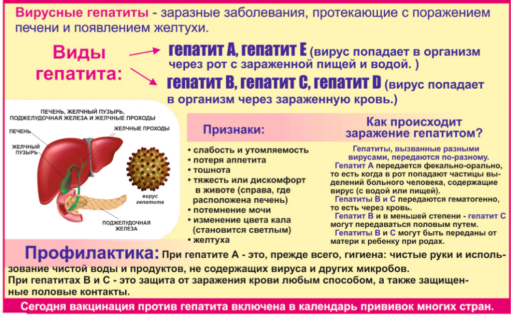 вирГеп.png